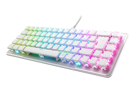 ꡼ No.002Υͥ / ؼåѤROCCAT65󥵥ܡɤȯ