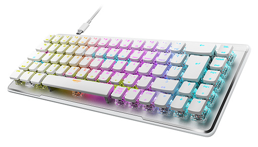 ꡼ No.001Υͥ / ȼؼåѤROCCAT65󥭡ܡɤ˥磻쥹ǥ뤬о