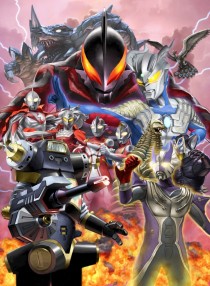 ���������꡼ No.012�Υ���ͥ������ / ������Τ�¿�������Wii�ѥ��եȡ�����åХȥ� ����ȥ饳��������ģء�����ȥ�����罸��ס�2010ǯ2��25��ȯ��