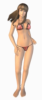 ꡼ No.001Υͥ / DEAD OR ALIVE ParadiseפȥҥȥߡɤΥӥåȤǺܡ٥ȡRio Super Carnivalɤǥڥ
