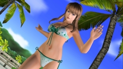 ꡼ No.003Υͥ / DEAD OR ALIVE ParadiseפȥҥȥߡɤΥӥåȤǺܡ٥ȡRio Super Carnivalɤǥڥ
