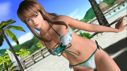 ꡼ No.004Υͥ / DEAD OR ALIVE ParadiseפȥҥȥߡɤΥӥåȤǺܡ٥ȡRio Super Carnivalɤǥڥ