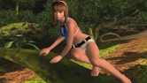 ꡼ No.011Υͥ / DEAD OR ALIVE ParadiseפȥҥȥߡɤΥӥåȤǺܡ٥ȡRio Super Carnivalɤǥڥ