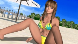 ꡼ No.013Υͥ / DEAD OR ALIVE ParadiseפȥҥȥߡɤΥӥåȤǺܡ٥ȡRio Super Carnivalɤǥڥ