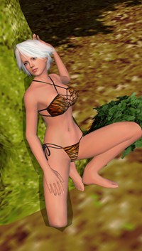 ꡼ No.011Υͥ / DEAD OR ALIVE Paradiseס֥ʡס֥ꥹƥס֥쥤եפΥӥåȤåŵξ