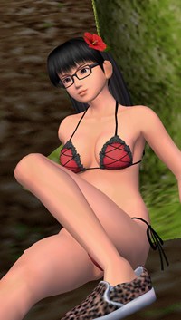 ꡼ No.014Υͥ / DEAD OR ALIVE Paradiseס֥ʡס֥ꥹƥס֥쥤եפΥӥåȤåŵξ