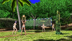 ꡼ No.002Υͥ / DEAD OR ALIVE ParadiseסӡХ졼ɤ󤱤ĥʤɡ˥塼åǳڤ֥ȥԥ롦ƥӥƥפܤΤ˺ޤ