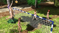 ꡼ No.003Υͥ / DEAD OR ALIVE ParadiseסӡХ졼ɤ󤱤ĥʤɡ˥塼åǳڤ֥ȥԥ롦ƥӥƥפܤΤ˺ޤ