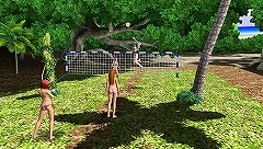 ꡼ No.004Υͥ / DEAD OR ALIVE ParadiseסӡХ졼ɤ󤱤ĥʤɡ˥塼åǳڤ֥ȥԥ롦ƥӥƥפܤΤ˺ޤ
