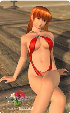 ꡼ No.019Υͥ / DEAD OR ALIVE ParadiseפΥʥȥݥåȡ֥Ρפ夲륭饯Rioɤ˥եƤŹޤˤäưۤʤˡŵƤå