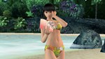 ꡼ No.015Υͥ / DEAD OR ALIVE Paradise׽λãȤδطɽѥ᡼֤ʤ褷١פ夲ȥ쥢ʥӥåȤ뤫⡩