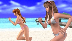 ꡼ No.002Υͥ / DEAD OR ALIVE Paradiseɤƥϥ㥮ޤ4Υƥӥƥࡼӡǥå