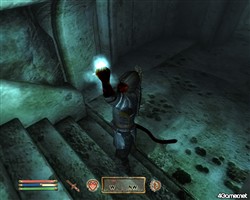 画像ギャラリー No.001のサムネイル画像 / PS3/Xbox 360版「The Elder Scrolls IV: オブリビオン」の拡張パック「Shivering Isles」の発売が中止になり,「Game of The Year Edition」の発売が決定