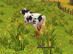 ���������꡼ No.003�Υ���ͥ������ / ���ե����ӥ�ͽ��ο���MMORPG��AILA Online�ס��и��ͤ������롤¿�̤����������ƥ��Ҳ�