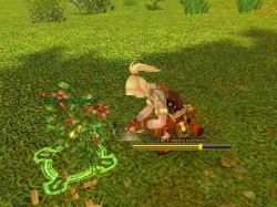 ���������꡼ No.004�Υ���ͥ������ / ���ե����ӥ�ͽ��ο���MMORPG��AILA Online�ס��и��ͤ������롤¿�̤����������ƥ��Ҳ�