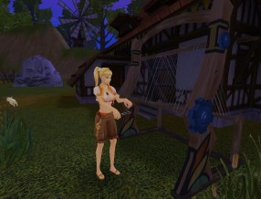 ���������꡼ No.033�Υ���ͥ������ / ���ե����ӥ�ͽ��ο���MMORPG��AILA Online�ס��и��ͤ������롤¿�̤����������ƥ��Ҳ�