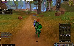 ꡼ No.006Υͥ / ɥȥ餳ΰ¿MMORPGAILA Onlineθݡ