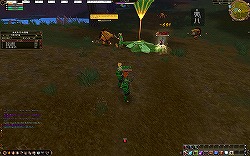 ꡼ No.007Υͥ / ɥȥ餳ΰ¿MMORPGAILA Onlineθݡ