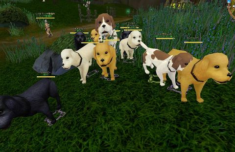 画像ギャラリー No.009のサムネイル画像 / 「AILA Online」生産物やコスチュームなど充実のアップデート実施