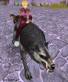 画像ギャラリー No.025のサムネイル画像 / 「AILA Online」生産物やコスチュームなど充実のアップデート実施