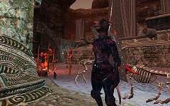 ꡼ No.015Υͥ / ΡOdusʥˡפ򸫤Ƥߤ褦EverQuest II׺ǿĥѥåSentinel's Fateפκǿ꡼󥷥åȤȥࡼӡǺ