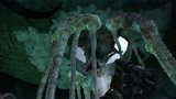 ꡼ No.008Υͥ / ˤ20ǯΥ⥹ˤХХ륢֥ȥ2033פȯ䡣ǡMetro2033פȯ䤬