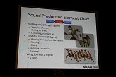 ꡼ No.025Υͥ / GDC 2010ϥ󥵡ǲƤΤϤ⤦Ť ֥եʥե󥿥XIIIפǺѤ줿ưƥMASTSפȤ