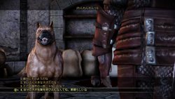 ꡼ No.009Υͥ / PS3/Xbox 360ǡDragon Age: OriginsפˤϡǤо줷6ܤDLCƱ뤳ȤȽ