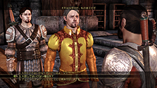 ꡼ No.009Υͥ / 饯ΡޤɤȤϡDragon Age: OriginsפΥ饯ᥤ󥰾ܺ٤å