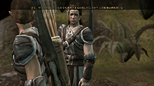 ꡼ No.017Υͥ / 饯ΡޤɤȤϡDragon Age: OriginsפΥ饯ᥤ󥰾ܺ٤å