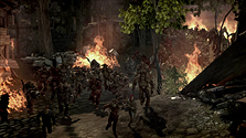 ꡼ No.005Υͥ / Dragon Age: Originsפκǿ塣ط䥲ॷƥʤɤƬáȯ褦