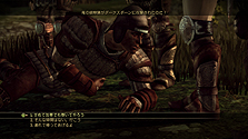 ꡼ No.023Υͥ / Dragon Age: Originsפκǿ塣ط䥲ॷƥʤɤƬáȯ褦