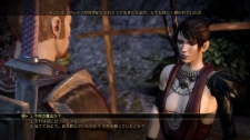 画像ギャラリー No.020のサムネイル画像 / 「Dragon Age: Origins」,パーティメンバー「アリスター」「モリガン」を紹介。プレイヤーの選択・行動で変化する“好感度”とは