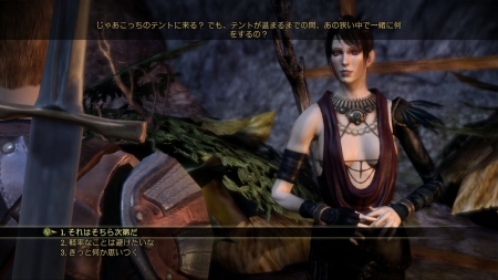 画像ギャラリー No.028のサムネイル画像 / 「Dragon Age: Origins」,パーティメンバー「アリスター」「モリガン」を紹介。プレイヤーの選択・行動で変化する“好感度”とは