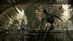 ꡼ No.048Υͥ / ̵̩褬ࡤŪRPGDragon Age: OriginsפΥӥ塼Ǻ