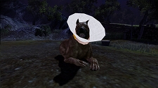 ꡼ No.007Υͥ / Dragon Age: Originsפ3DLCƤXbox 360ѥѥåǡDragon Age: Origins - Awakeningפ47ȯ