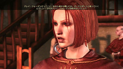 ���������꡼ No.001�Υ���ͥ������ / ����ȯ���Dragon Age: Origins�פξ��������5�Ƥ�Ǻܡ�����Ϥ���ʤ�ѡ��ƥ����С��ȡ�Ʊ�������6�����DLC�ˤĤ���