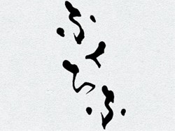 ꡼ No.007Υͥ / ʥȡʷϵƸ饤󾭴ͷӽ դաפȯɽ317OBTǹ鴶Τ褦