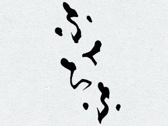 ꡼ No.010Υͥ / 鴶ɺ饤󾭴ͷӽ դաפӥ곫
