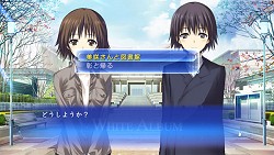 ꡼ No.013Υͥ / ͵μ̤ͤιϡȯΡWHITE ALBUM֤ߤۤСݡפҲ