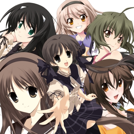 ���������꡼ No.019�Υ���ͥ������ / ������ɤϡ��ڤʤ��פȡֻפ��Сס���⥪�ե��꡼���ǿ���֥��꡼������ ��Ӥ���ε����ס��ǿ�PV�ʤɿ��������餫��