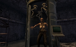 ꡼ No.008Υͥ / Fallout New VegasסDLC1ơDead Moneyפܸ饤Ǥ3ۿꡣץ⡼ࡼӡ4GamerUp