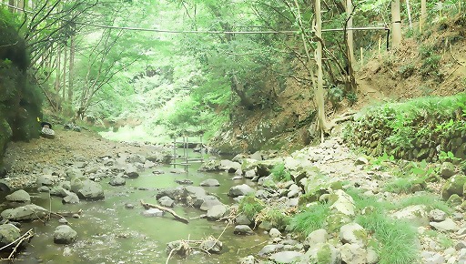 画像ギャラリー No.008のサムネイル画像 / 「キャラフレ」,実在する東京牧場を再現した「檜原村」マップが開放