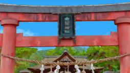 ꡼ No.008Υͥ / ֥եפ2021ǯ´ιԥ٥Ȥ311»