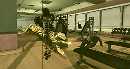 ꡼ No.006Υͥ / NO MORE HEROES 2ס硦Ҳ𥭥ڡ󳫻ϡ