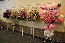 ꡼ No.009Υͥ / ֥ͥޥ󥹡ס֥ȥᥤȡס֥ӡס3֥ɤƱǴ褷κŵšJAPAN &hearts;Festival״ݡ