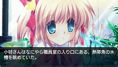 ꡼ No.023Υͥ / ץȥסɥ٥㡼֥ȥХConverted EditionפPSP2010ǯ˥꡼