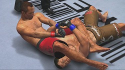 ꡼ No.018Υͥ / ܿUFCեǷ͡UFC Undisputed 2010ײͦ vs.  ѡ󥰤ݡ