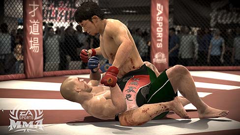 ꡼ No.014Υͥ / 쥯ȥ˥åġFIFA 11 ɥ饹åסNBA꡼ 11סơEA SPORTSƮפιȯȯɽȯ餫