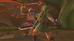 ꡼ No.015Υͥ / E3 2010Ϸڲ˷򿶤뤦֥פϤäѤɤ ꡼ǿThe Legend of Zelda: Skyward Swordץǥץ쥤ݡ